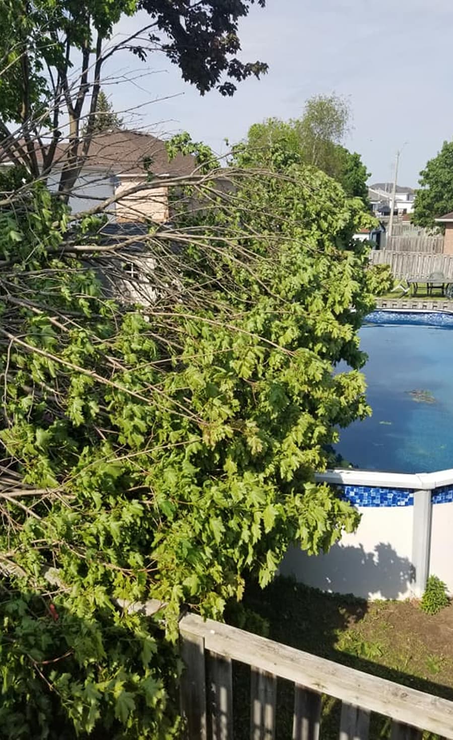 Emergency cleanup of fallen tree limbs after a storm